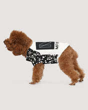 Load image into Gallery viewer, Image